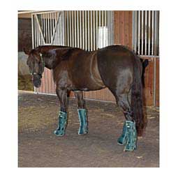 Flared Horse Shipping Boots Brookside